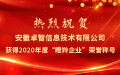 热烈祝贺安徽90hy豪运国际信息技术有限公司获得2020年度“瞪羚企业”荣誉称号